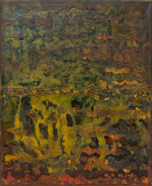 Charcas y ciénagas
